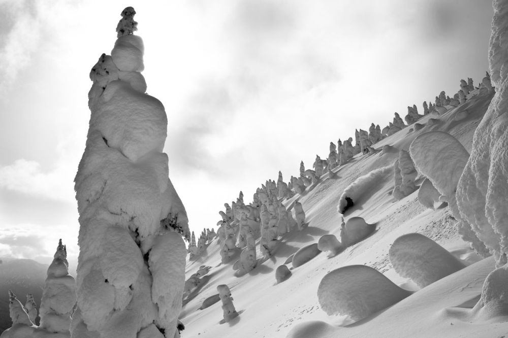 Mason Mashon photo, 2013. 