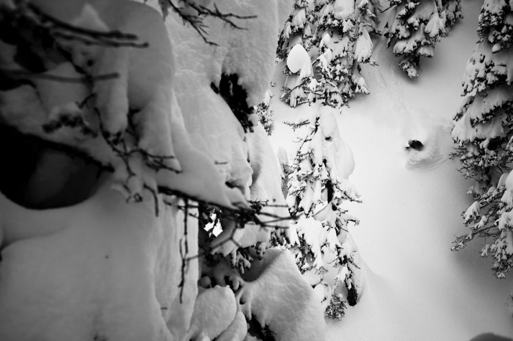 Mason Mashon photo, 2013.