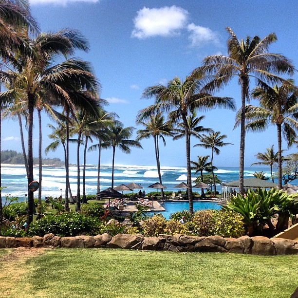 A change of pace presented itself at the Turtle Bay Resort. My first year round tan is here. 